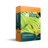 Fertilizante Samambaia PORTAL 150g (12-6-12)