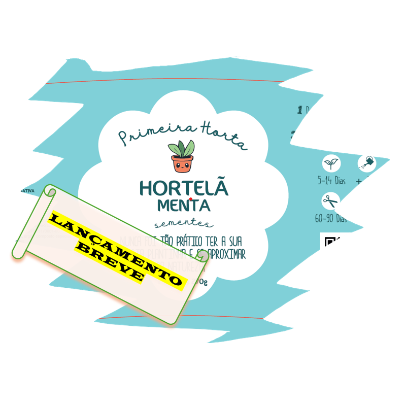 Kit Primeira Horta - Hortelã/Menta